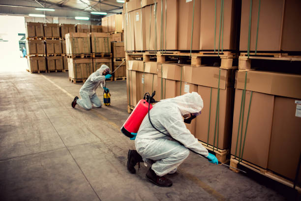 Best Local Pest Control Services  in Sidy, NE