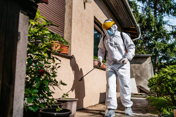 Best Wasp Removal Services  in Sidy, NE