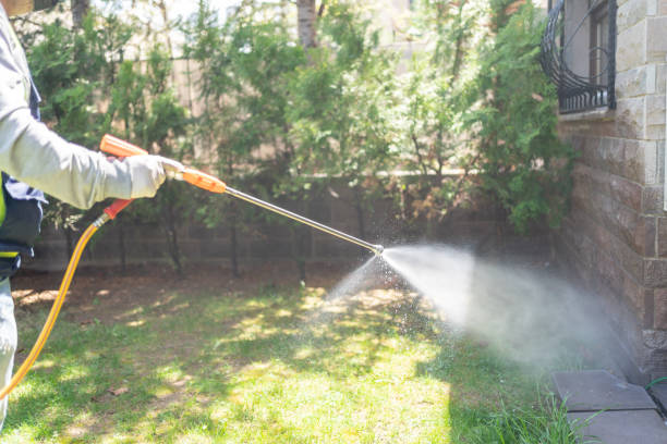 Best Exterminator Services  in Sidy, NE